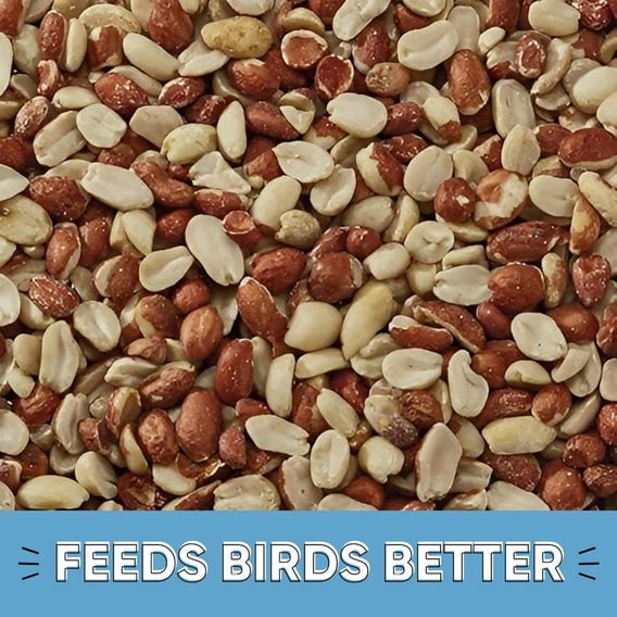 Happy Beaks - Peanut Splits